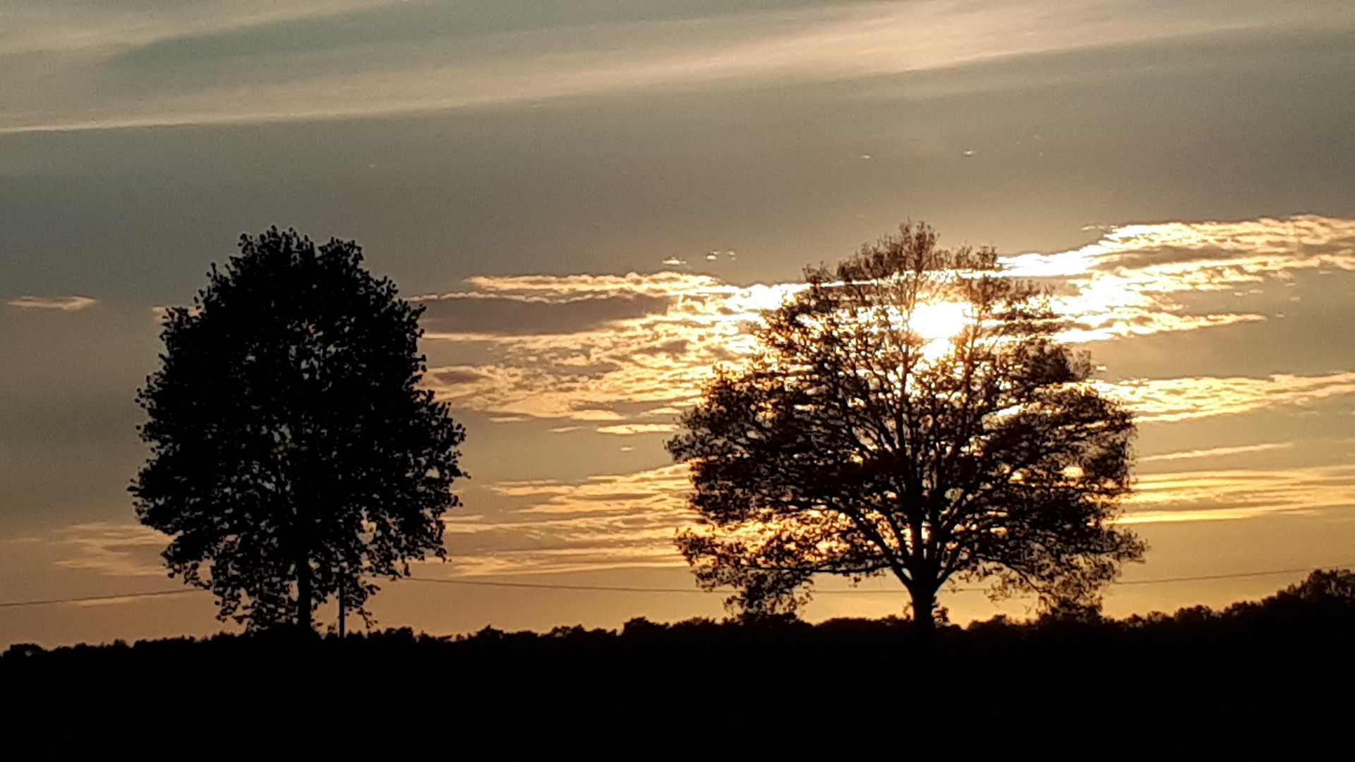 Westmünsterland am Abend 2