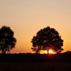 Westmünsterland am Abend