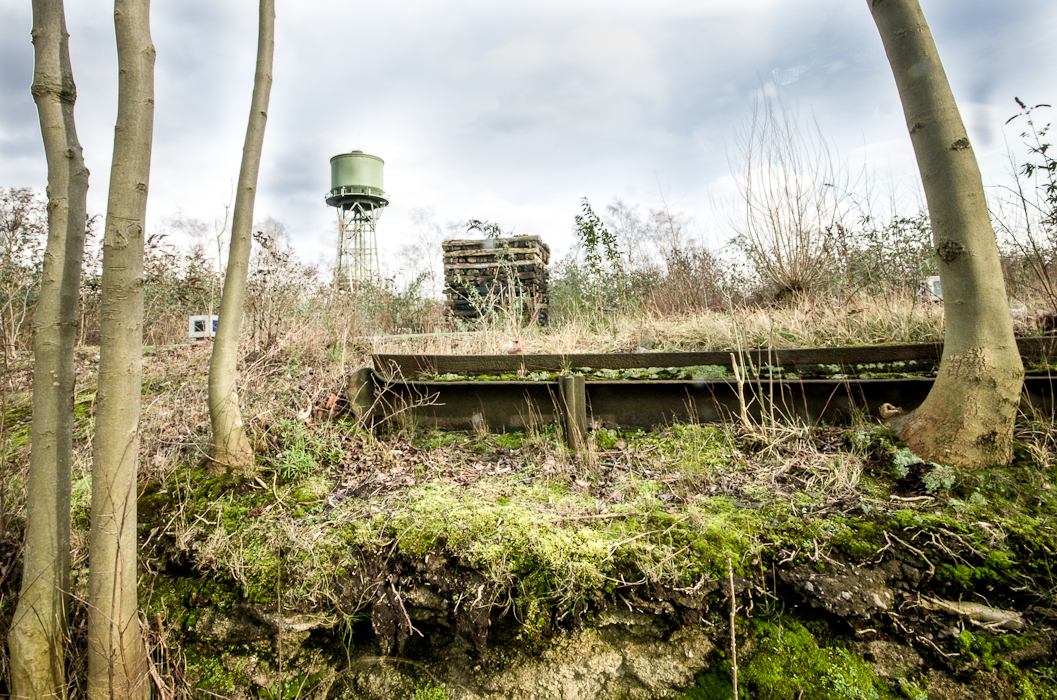 Westpark Bochum Moos und Turm