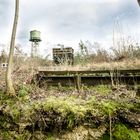 Westpark Bochum Moos und Turm