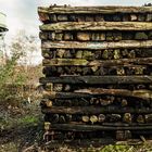 Westpark Bochum Stapel und Turm