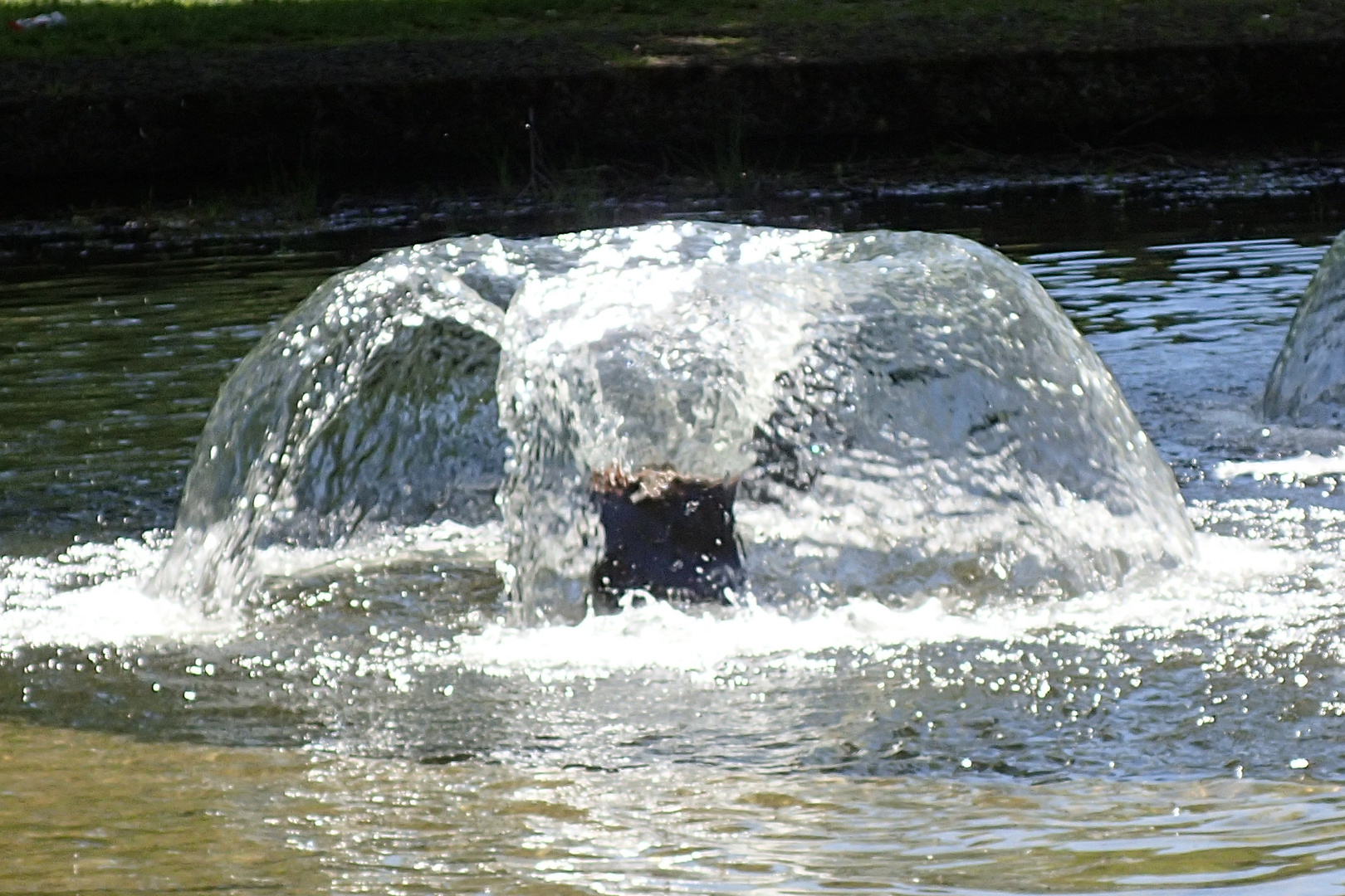 Westpark - Brunnen am Mollsee
