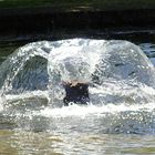 Westpark - Brunnen am Mollsee