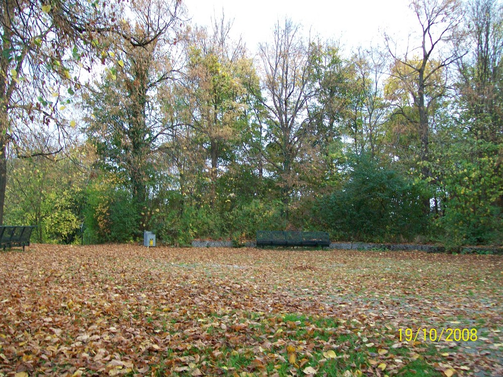 Westpark im Herbst