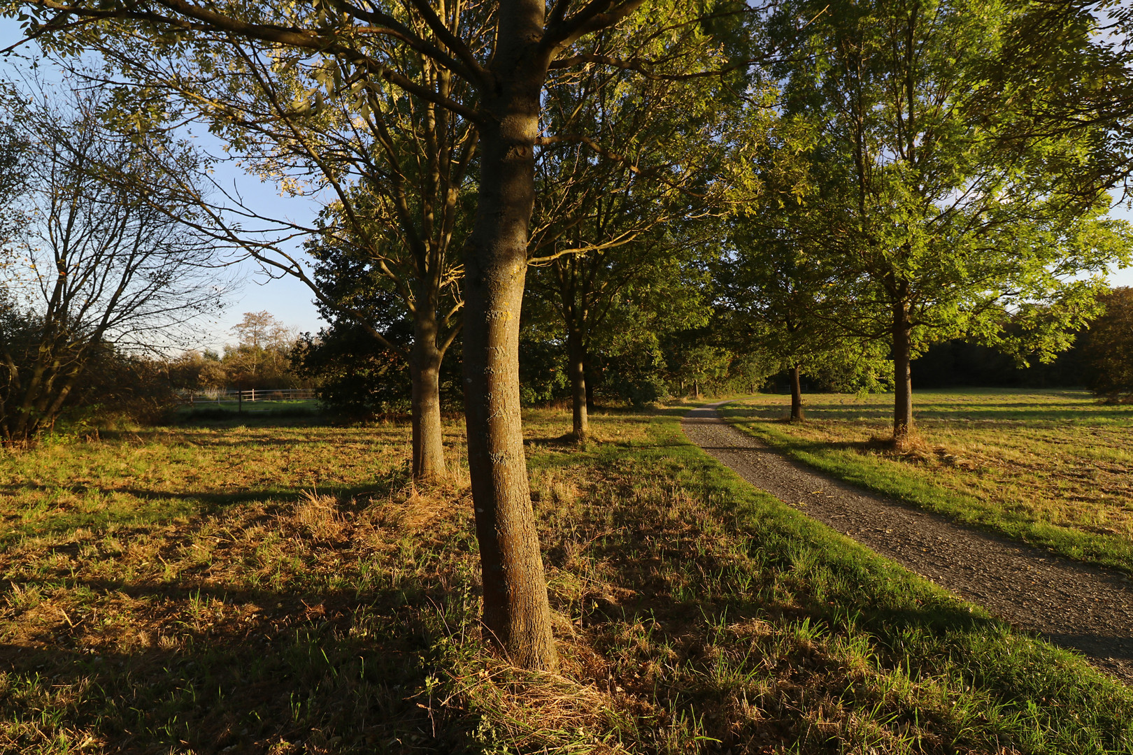 Westpark, lange Schatten