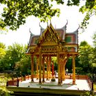 Westpark Pagode mit Teich 