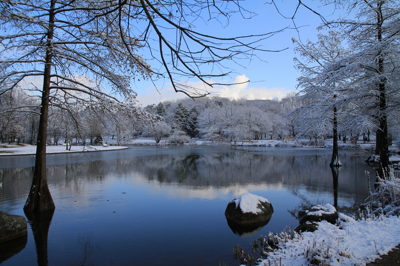 Westpark See im Winter 1