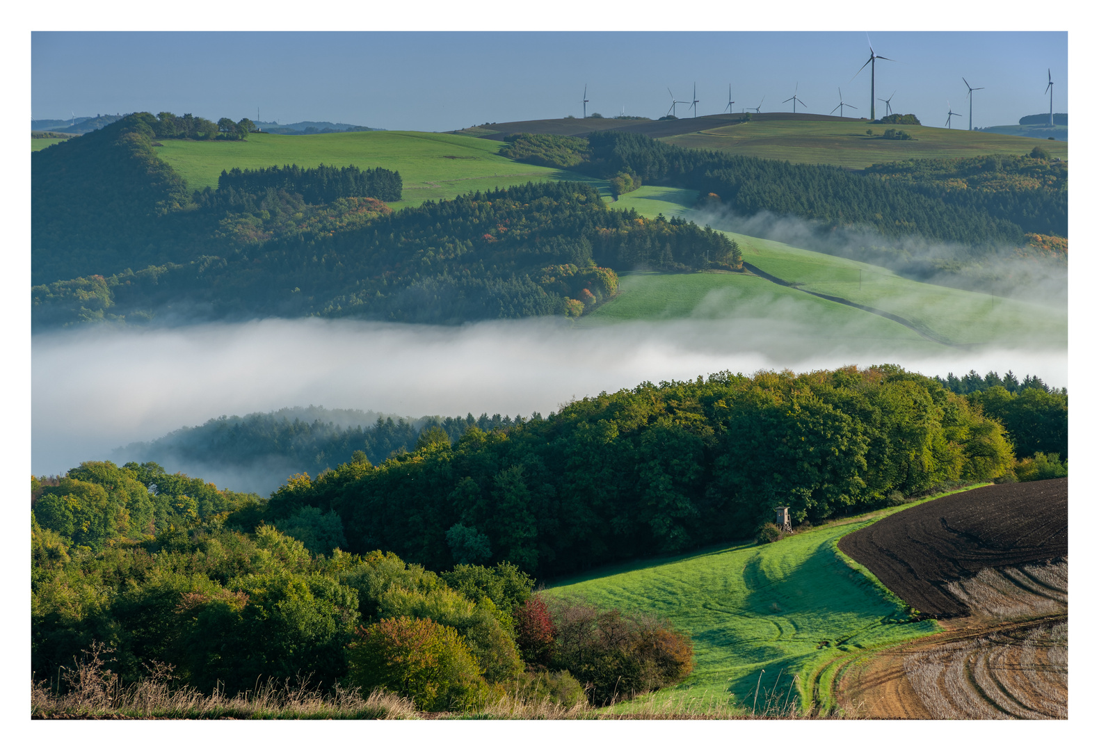 Westpfälzer Bergland