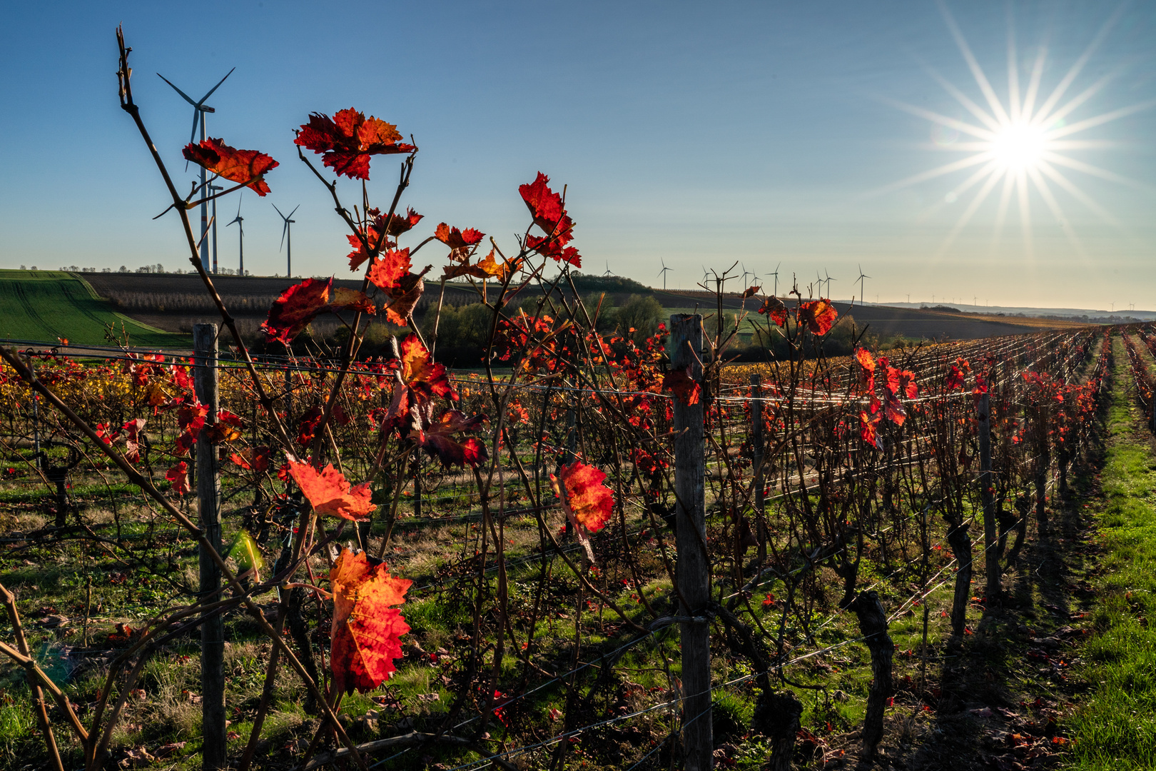 Westpfalzblick - I -