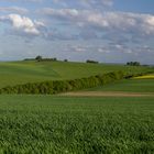 "Westpfalzpanorama"