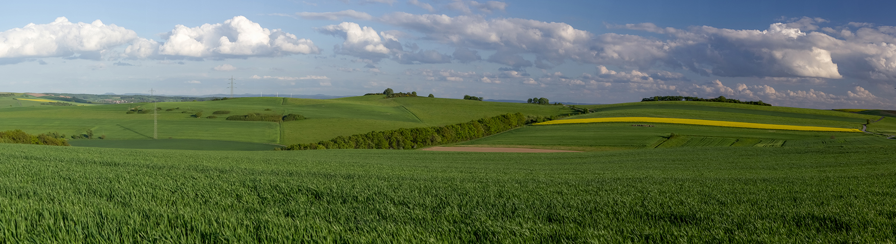 "Westpfalzpanorama"