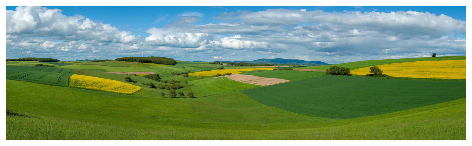 Westpfalzpanorama