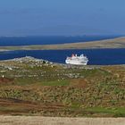 WestpointIsland  Ost Falkland Inseln