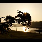 Westport, Abends am Hafen