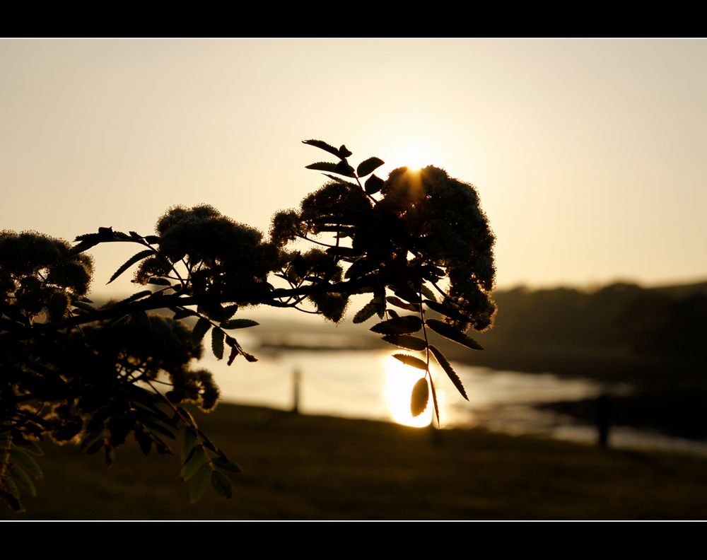 Westport, Abends am Hafen