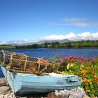 Westport Bay