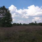 Westrupe Heide