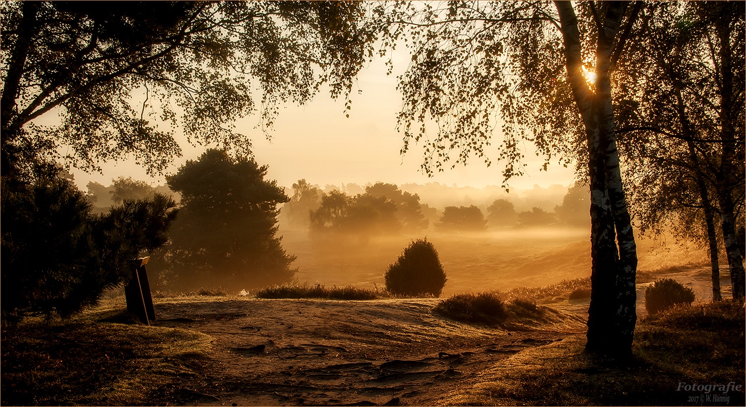 Westruper Heide