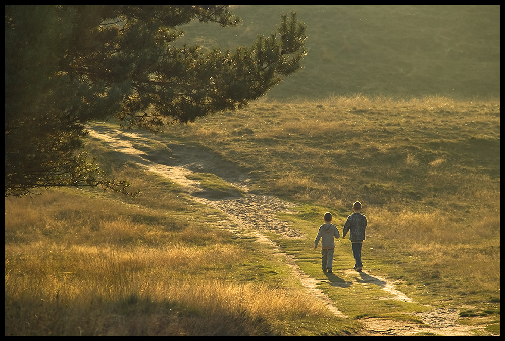 Westruper Heide, 15.10.2005 von Hilke von Kienle