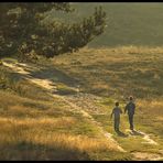 Westruper Heide, 15.10.2005