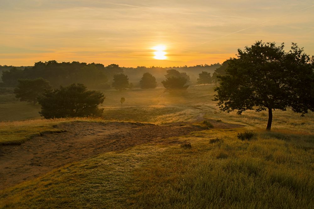 Westruper Heide 2