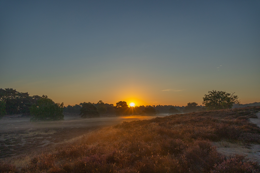 Westruper-Heide