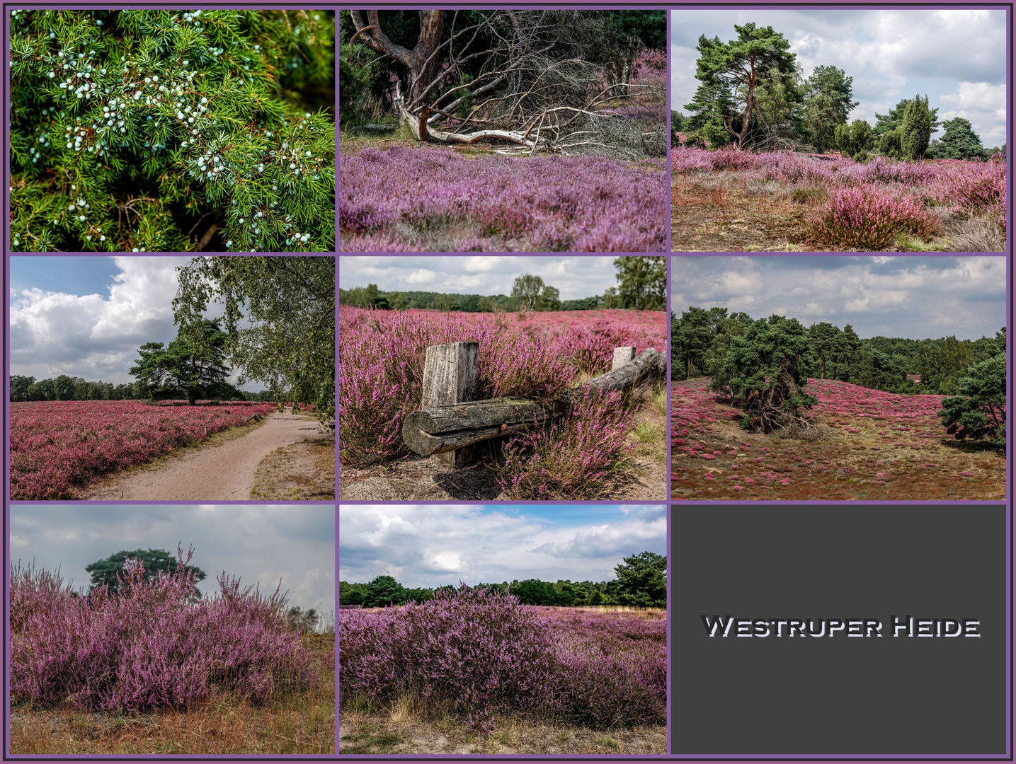 Westruper Heide