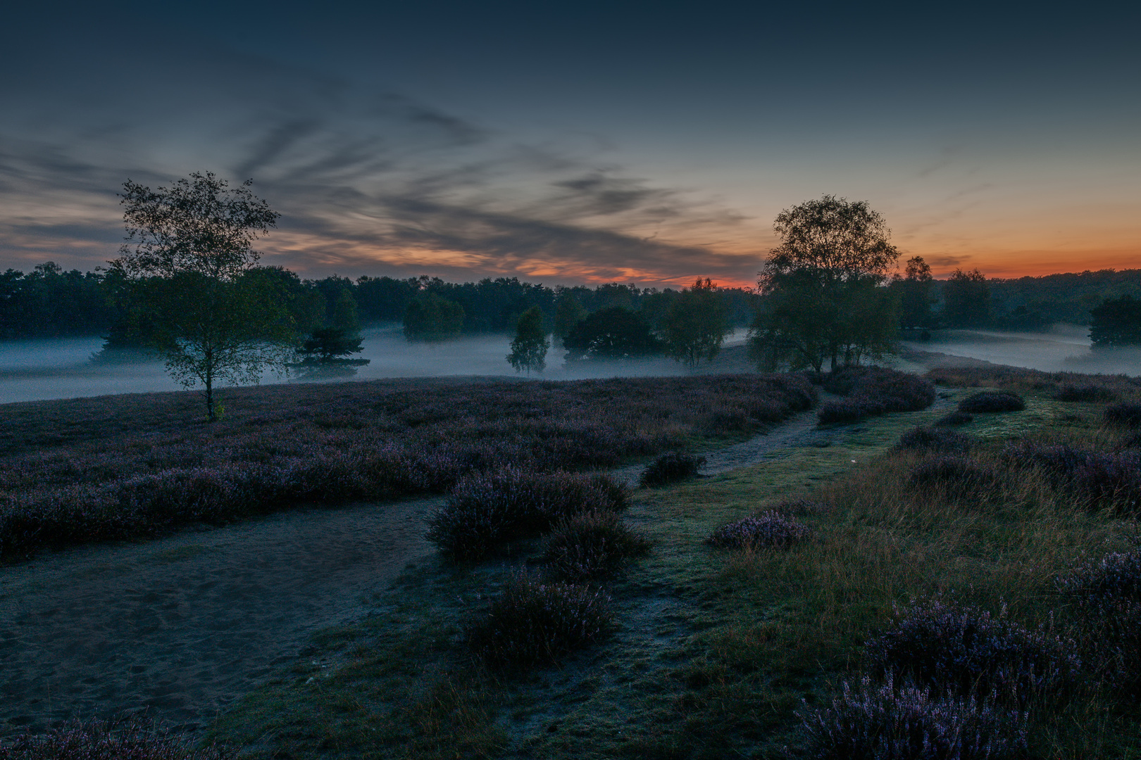 Westruper Heide