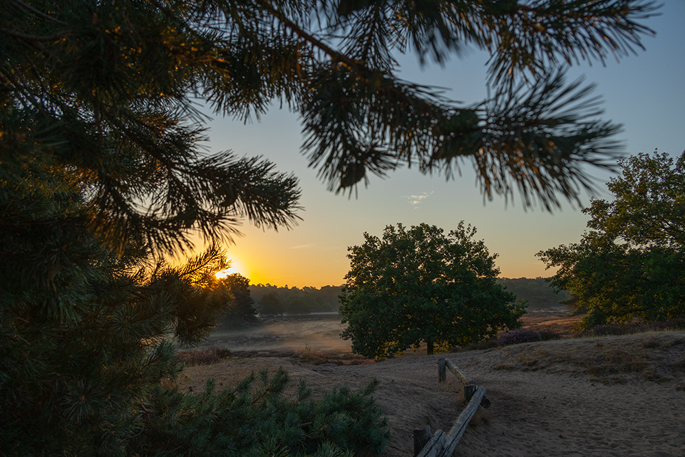 Westruper-Heide