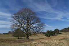 Westruper Heide am Ostersonntag