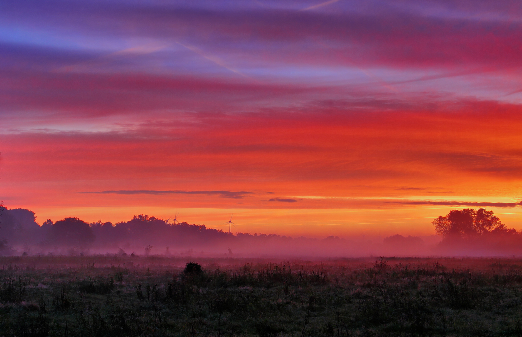 Westruper Heide