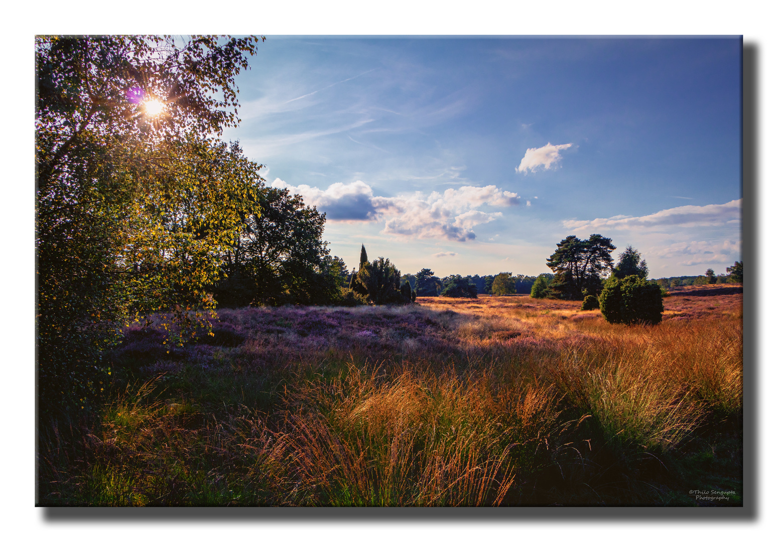 Westruper Heide, Haltern