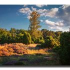 Westruper Heide, Haltern