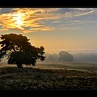 Westruper Heide, Haltern am See 1