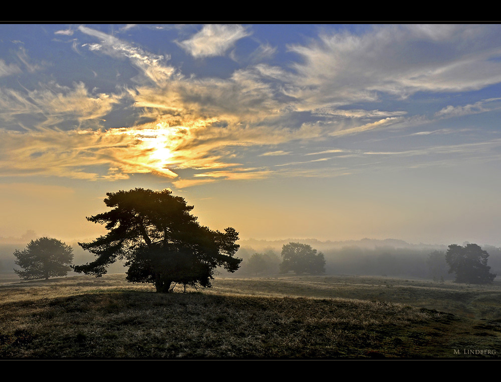 Westruper Heide, Haltern am See