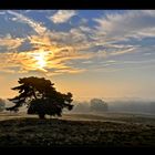 Westruper Heide, Haltern am See