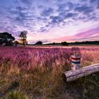 Westruper Heide | Haltern am See | 2