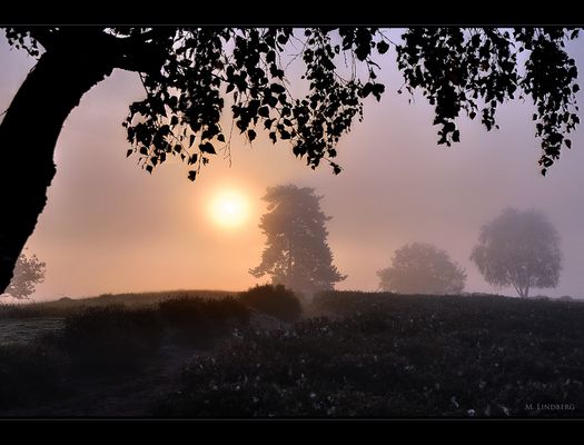 Westruper Heide, Haltern am See 2