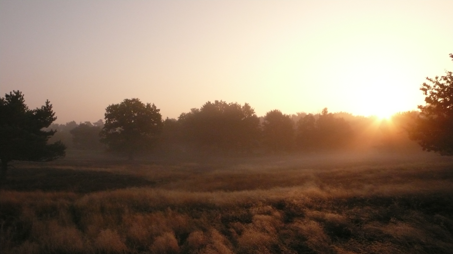 Westruper Heide, Haltern am See