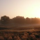 Westruper Heide, Haltern am See