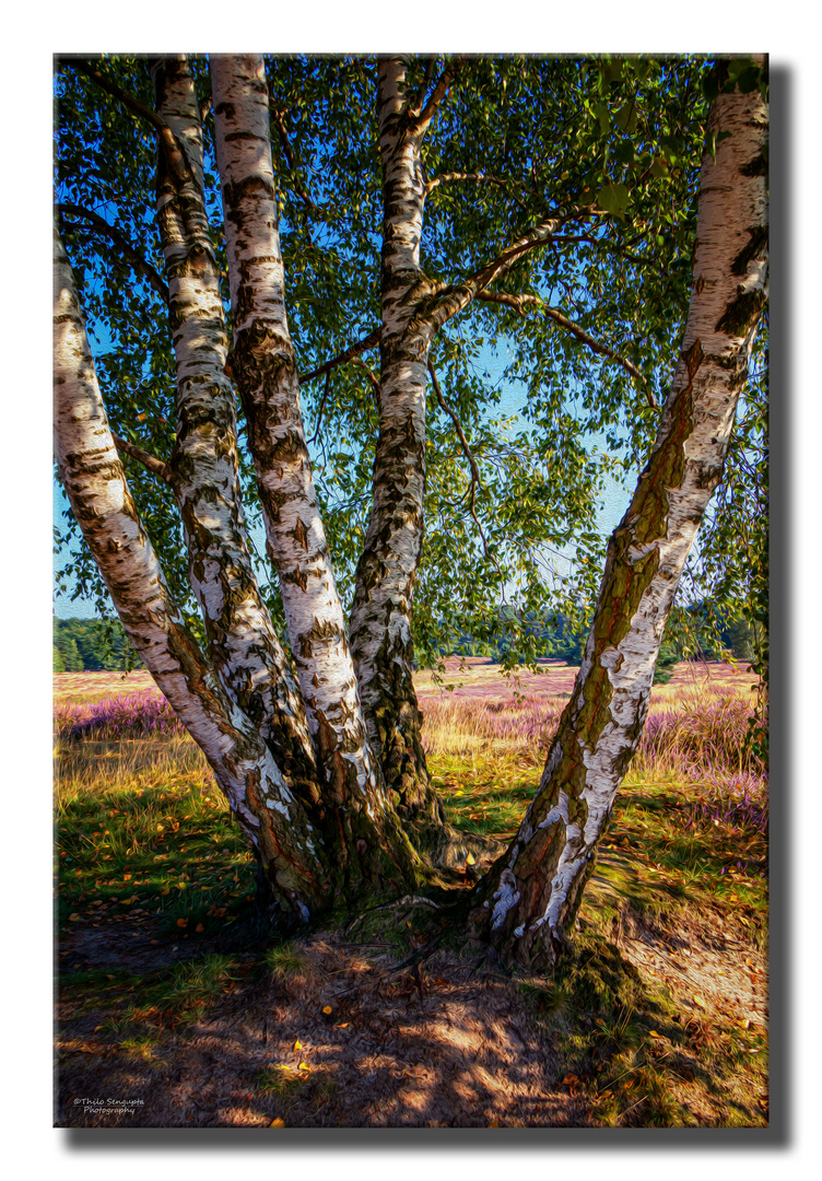 Westruper Heide, Haltern