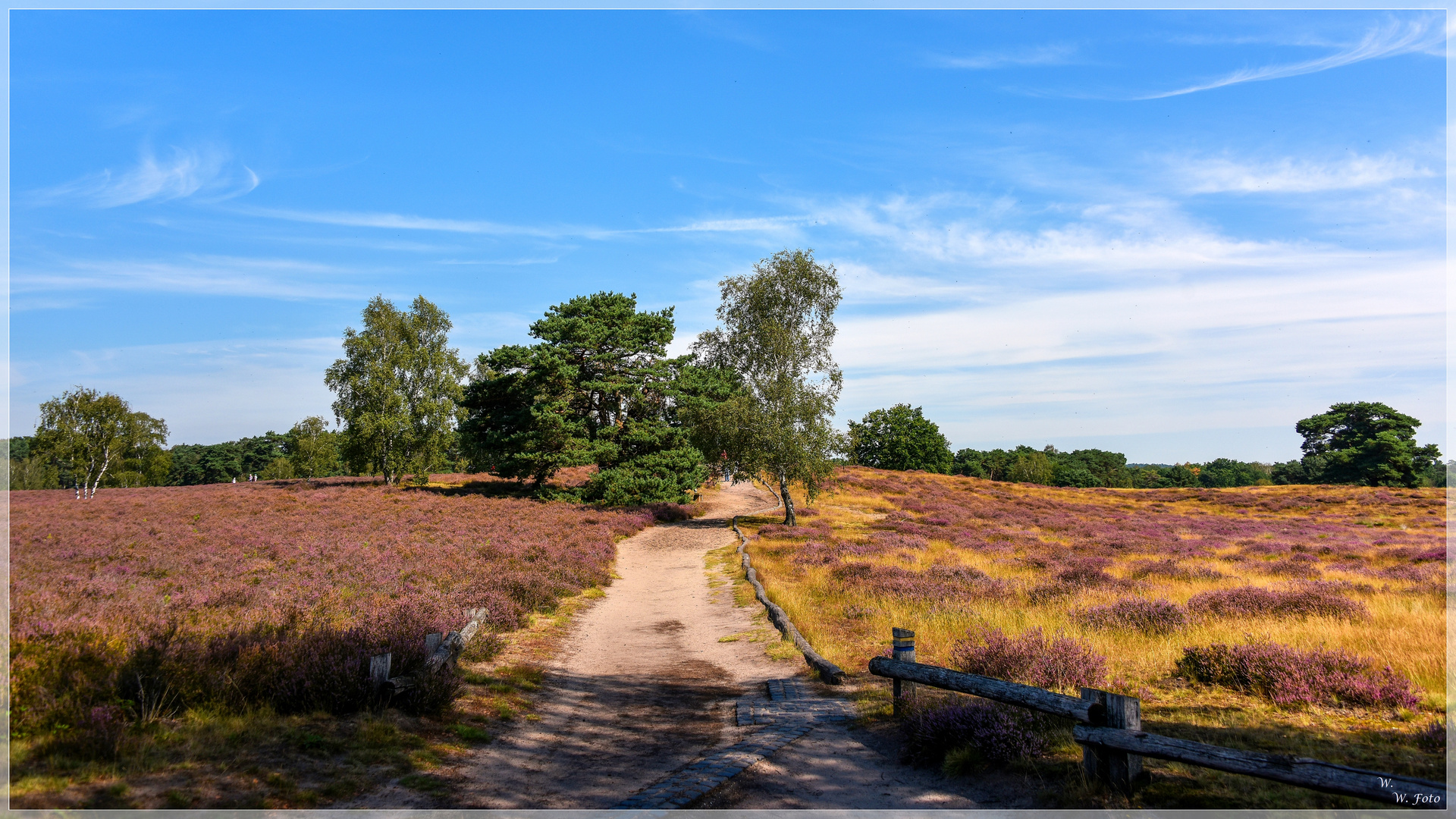 Westruper Heide II Foto & Bild natur, landschaft, nrw Bilder auf