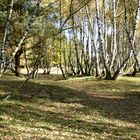 Westruper Heide im Herbst