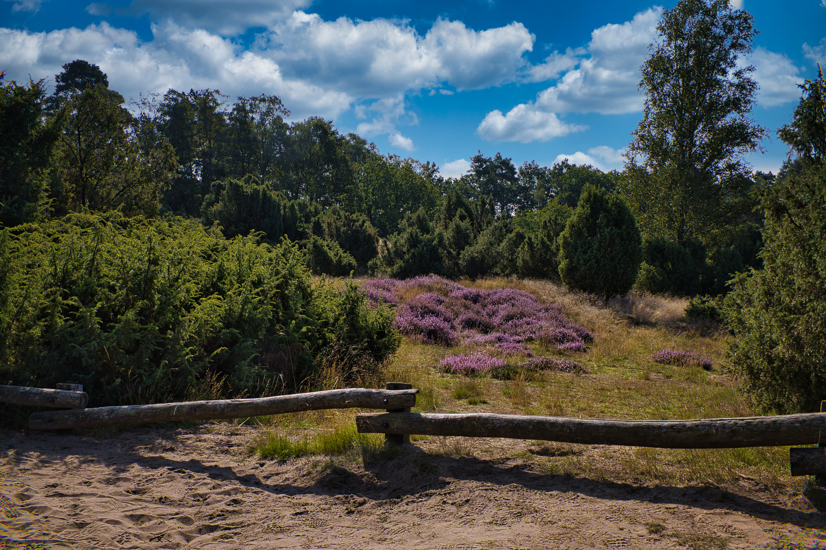 Westruper Heide in Haltern am See