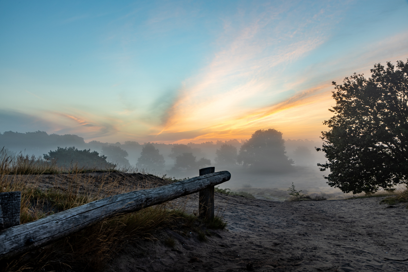 Westruper Heide NRW