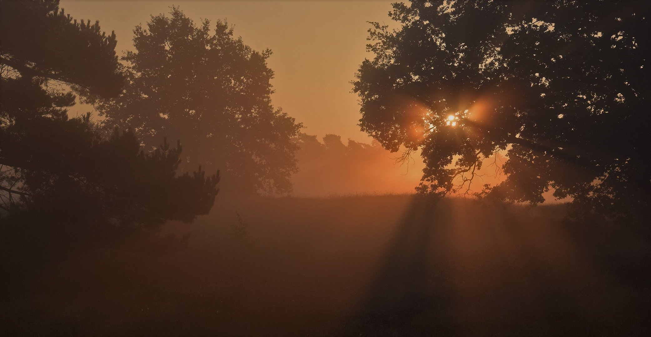 Westruper Heide und der Sonnenaufgang....