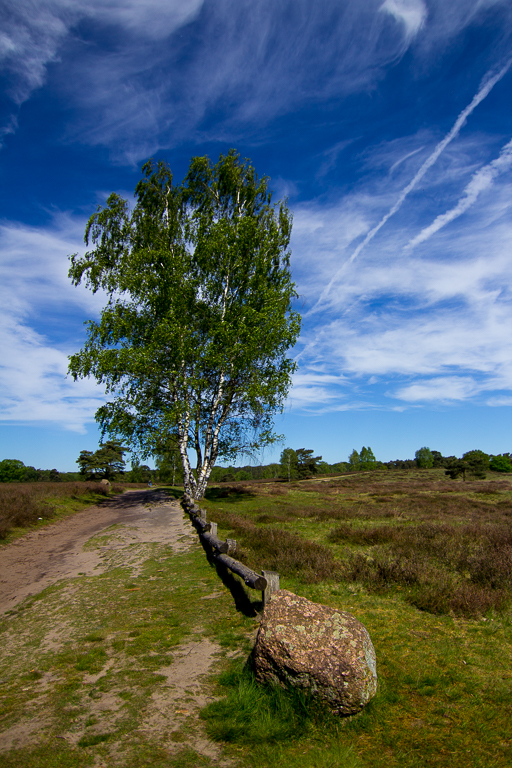 Westruperheide 