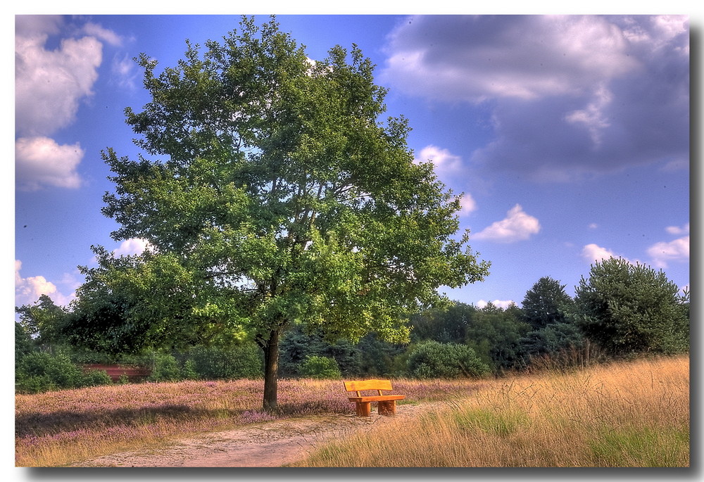 Westrupperheide ...Pause machen