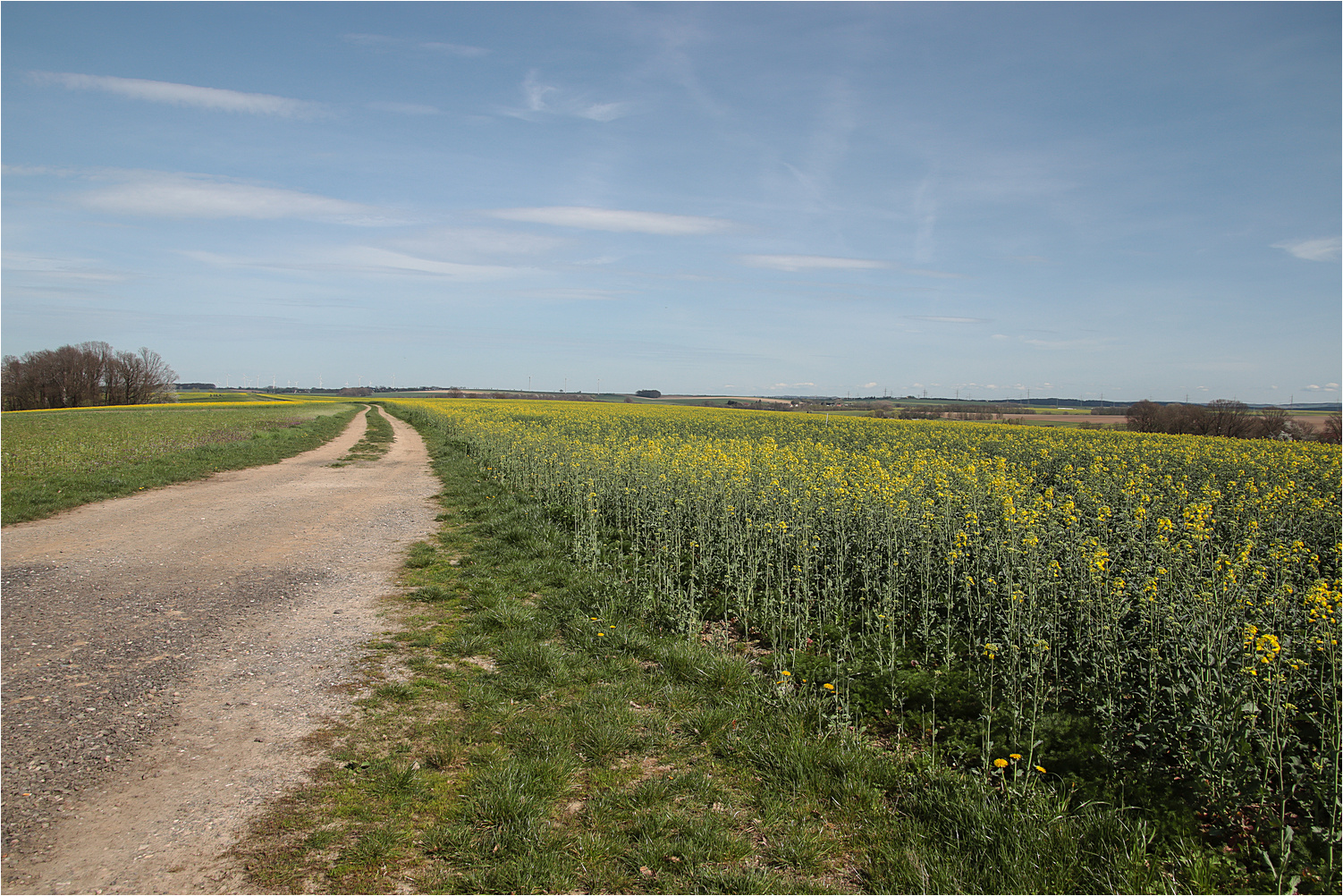 Westsachsen