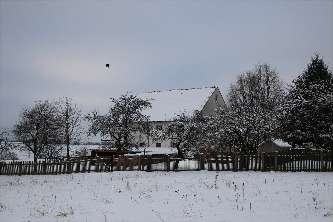 Westsachsenwinter (1)